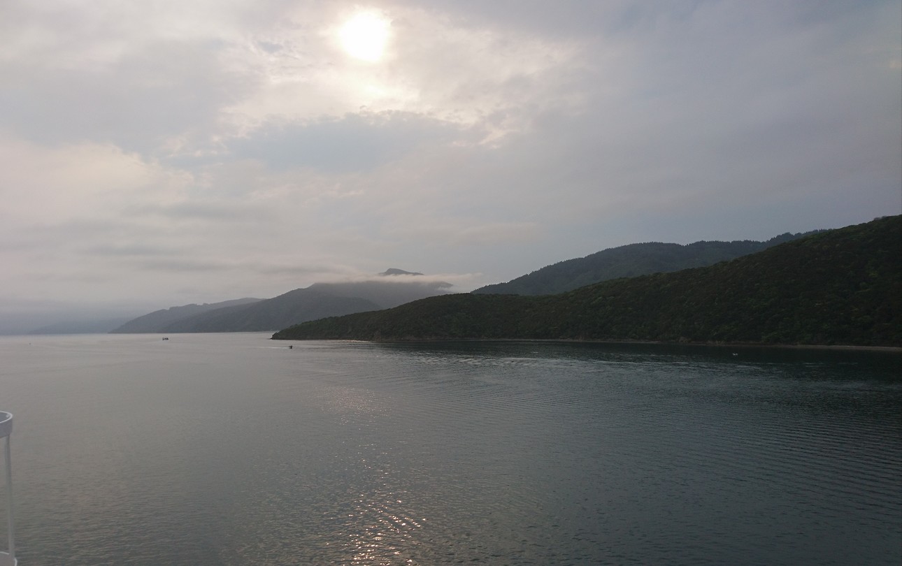 Fjorden picton