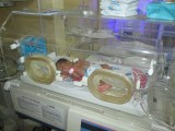 De baby in de couveuse