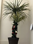 Ghanese kerstboom 🙃