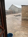 Heel veel regen!