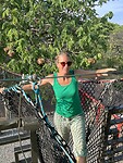 Canopy walk