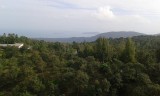 20140627_161759