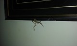 20140705_020722