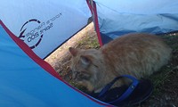 20171205_084853