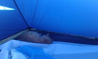 20171205_095323