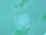 P1010165