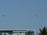 P1010532