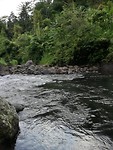 Rivier west-Bali