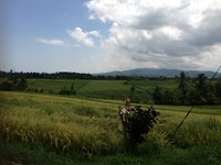 IMG_20180411_123344