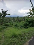 Day two! Good morning, slamat pagi!! The view