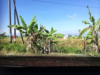 IMG_20180421_092050