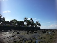 IMG_20180421_085029