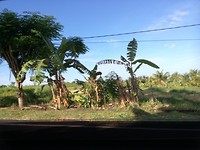 IMG_20180421_081547