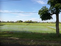 IMG_20180421_080908