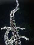 IMG_20180507_231921