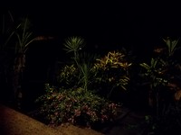 IMG_20180514_214457_1