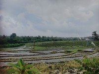 IMG_20180516_072654