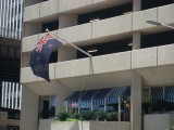 de vlag / the flag
