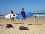 Manly Beach