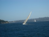 op/at Manly ferry
