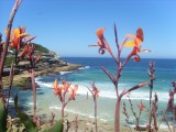 tussen/between Bondi en Tamarama Beach