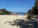 Clovelly Beach