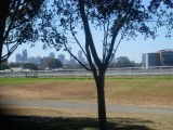 de renbaan en de stad in de achtergrond / the racecourse and the city in the background