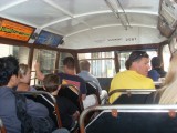 Australia Day, in the bus