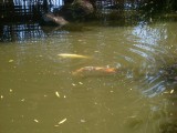 Chinese Garden of Friendship