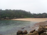 Manly - Shelly Beach