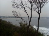 Manly Beach