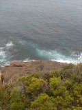 Manly - Sydney Harbour National Park
