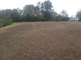 Manly - droogte / drought