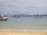 Watson's Bay - strand met uitzicht over de stad / beach with a view of the city