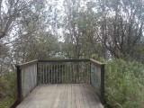 Watson's Bay - uitzichtsplatform met fantastisch uitzicht / viewing platform with great view