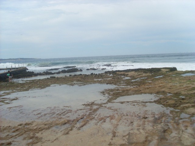 Cronulla Beach