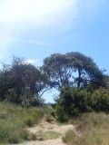 op verzoek: mooi weer foto / requested: nice weather photo