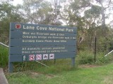 Lane Cove hike