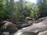 Lane Cove hike - deel van de route / part of the track