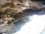 Lane Cove hike