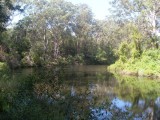 Lane Cove hike