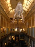 Australian Museum