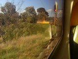 verveeld in de trein / bored in the train