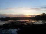 Yellow water wetlands