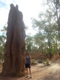Termieten heuvel / termite mound