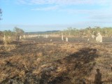 magnetic termite mounds / magnetische termieten heuvels