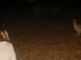 op de camping / at the campsite
