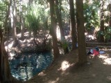 Mataranka Thermal Pool / Mataranka warmwaterbron