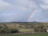 regenboog over de wijngaarden / rainbow over the wineyards
