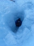 op/on Franz Josef gletsjer/glacier